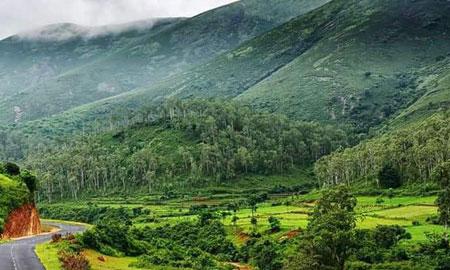 Eco Retreat Package Koraput